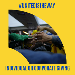 individual or corporate giving